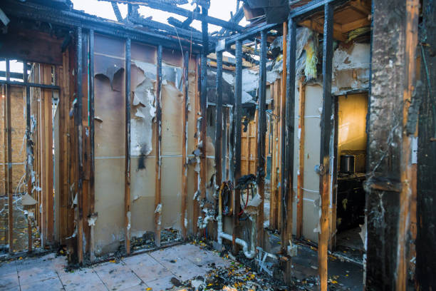 Professional Fire Damage Assessment technician working in Thonotosassa, FL