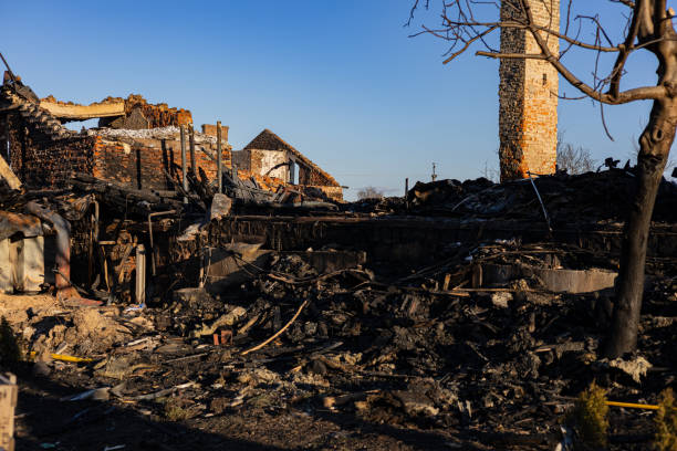 Reliable Fire Damage Assessment contractor in Thonotosassa, FL by Fire Damage Doption