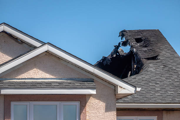 Top rated local Fire Damage Assessment specialists in Thonotosassa, FL